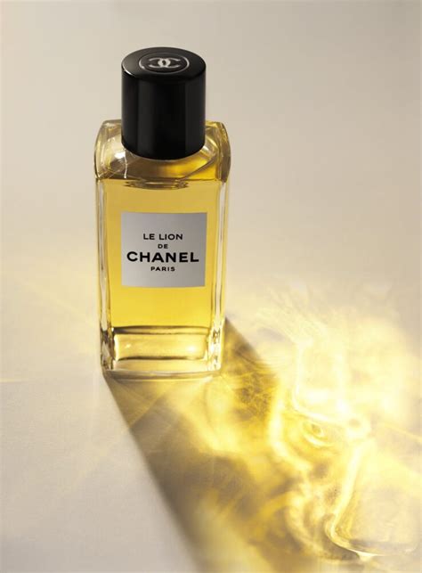 chanel niche perfume|chanel perfume touch up.